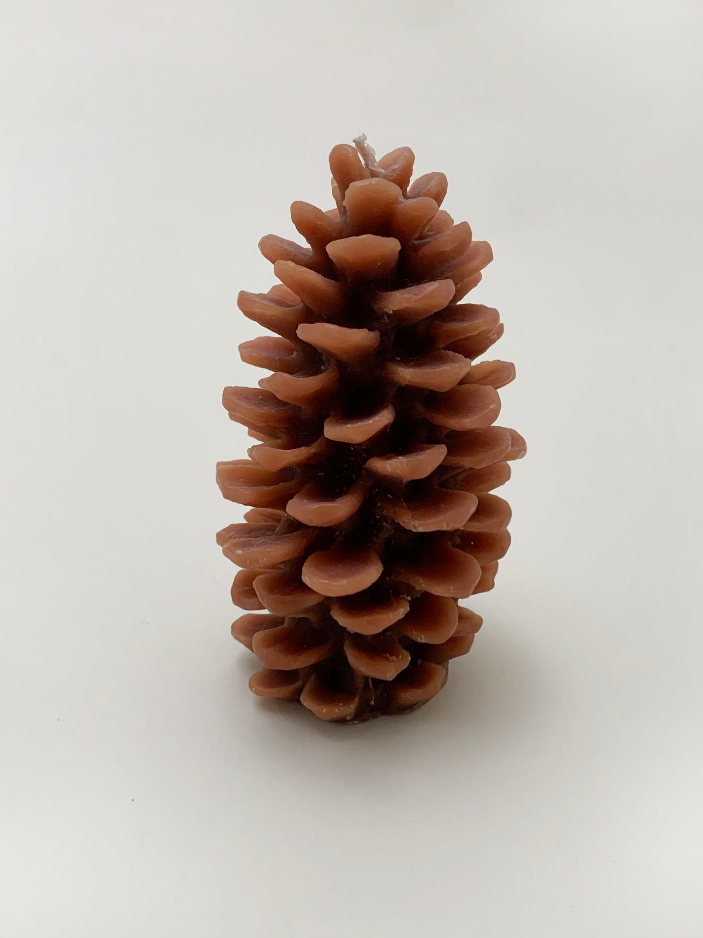 PINE CONE CANDLE