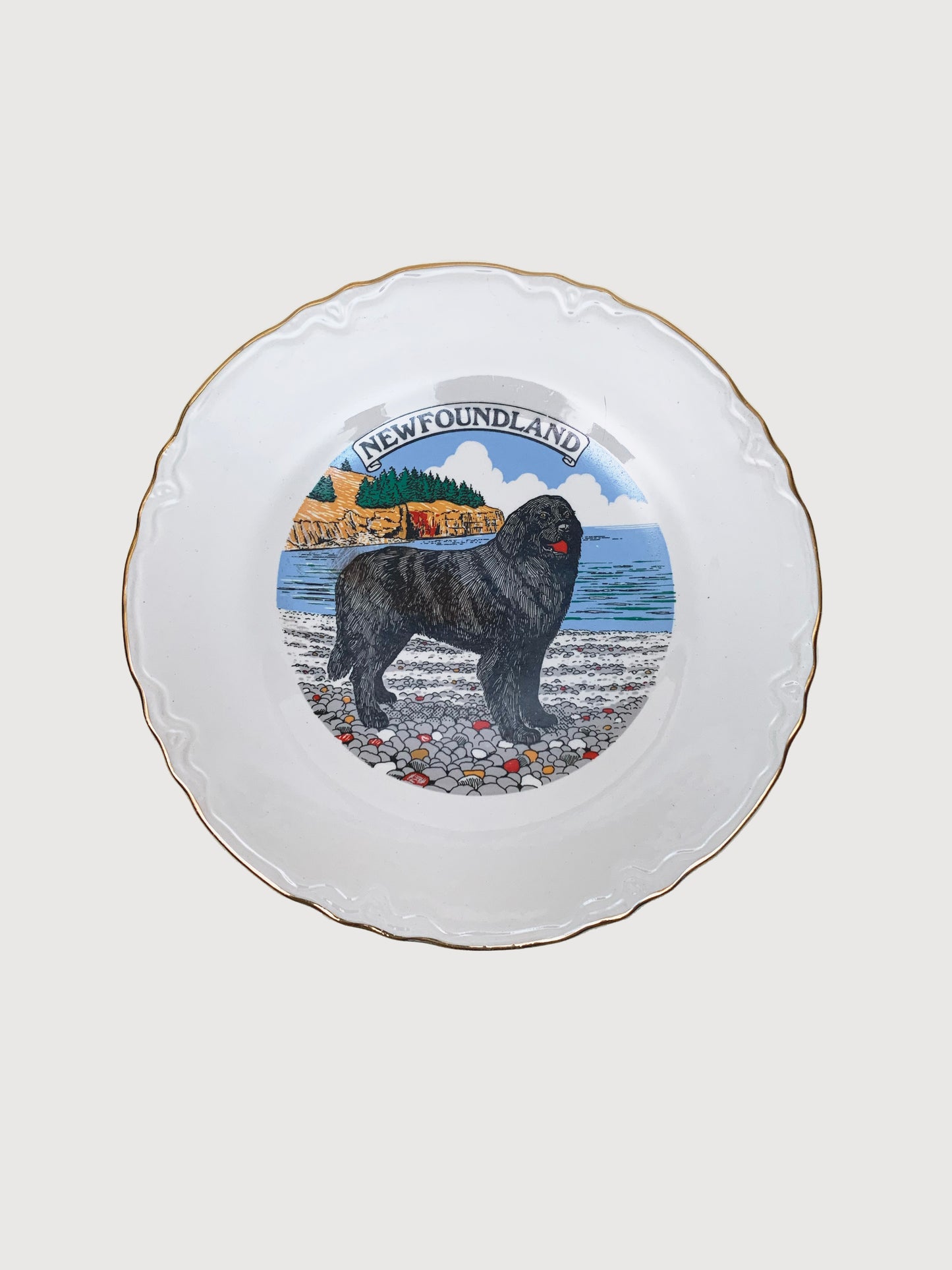 NEWFOUNDLAND PLATE