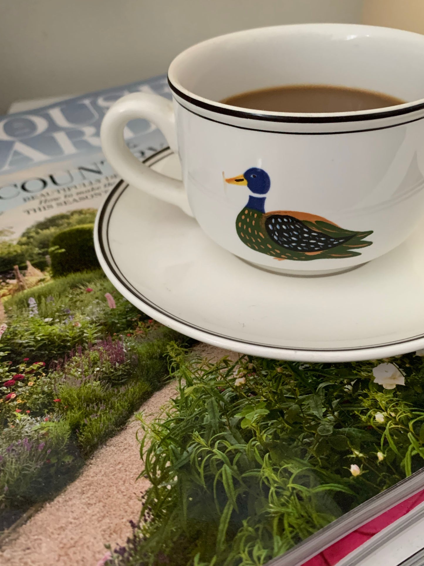 VILLEROY & BOCH CUP w/h SAUCER