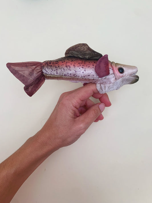 RAINBOW TROUT